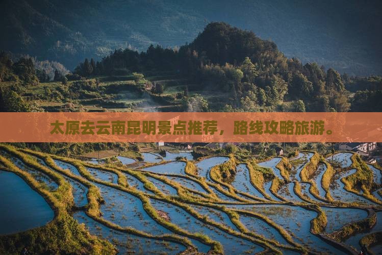 太原去云南昆明哪里玩