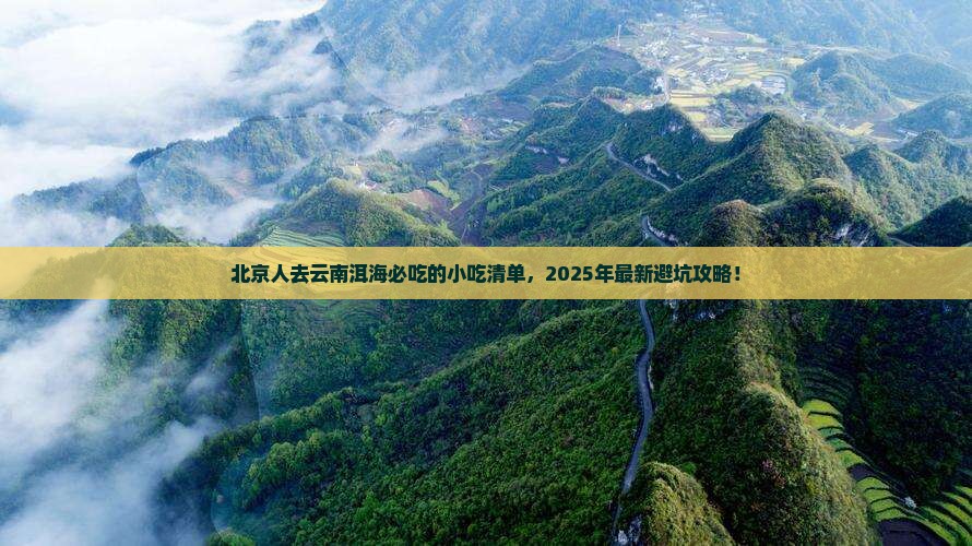 北京去云南洱海旅游小吃