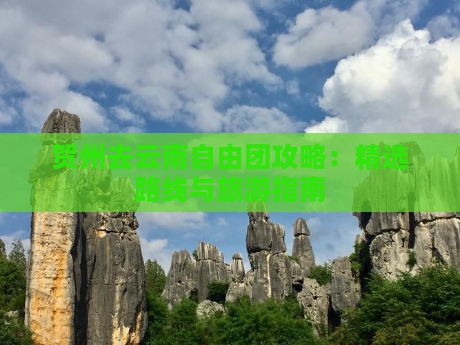 贺州去云南自由团