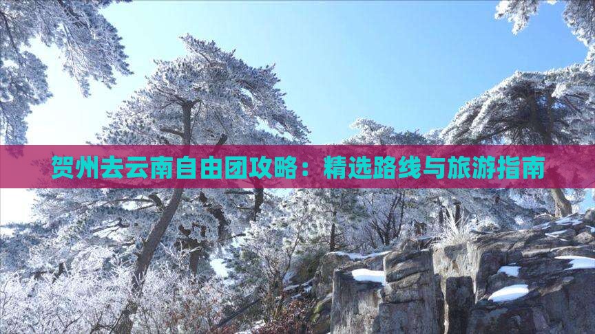 贺州去云南自由团
