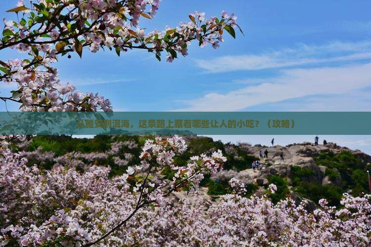 雅安到云南洱海旅游小吃