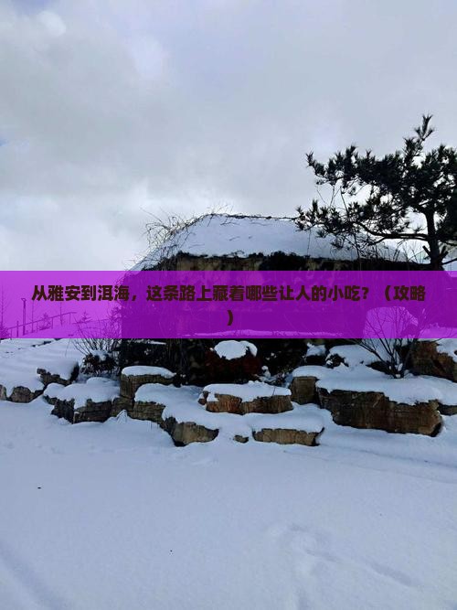 雅安到云南洱海旅游小吃