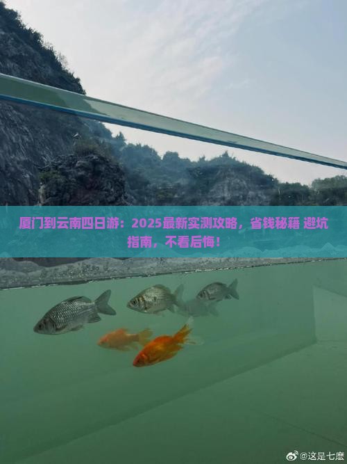 厦门到云南四日游