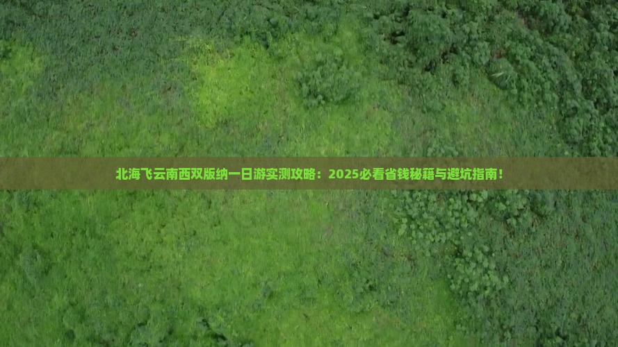 北海去云南西双版纳一日