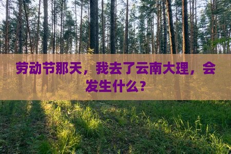 劳动节那天，我去了云南大理，会发生什么？