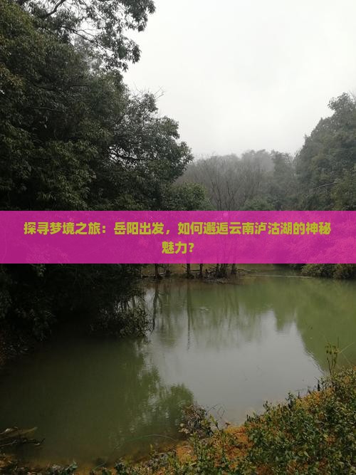 探寻梦境之旅：岳阳出发，如何邂逅云南泸沽湖的神秘魅力？