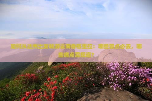 如何从达州出发畅游云南香格里拉：哪些景点必去，哪些痛点需规避？