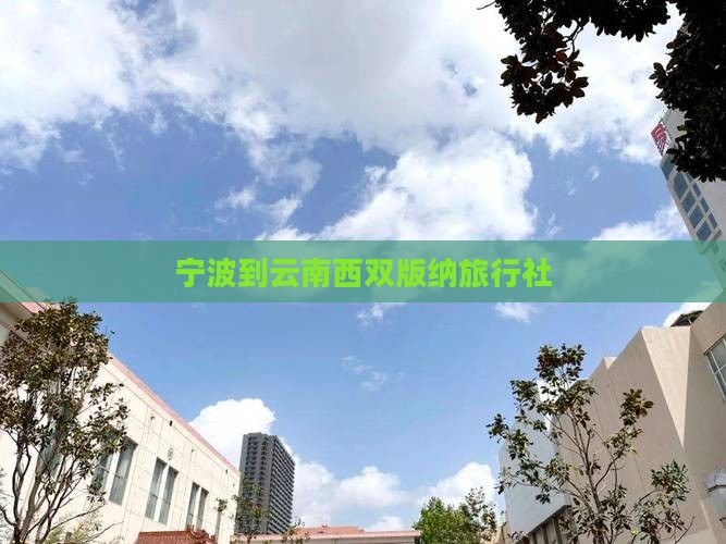 宁波到云南西双版纳旅行社