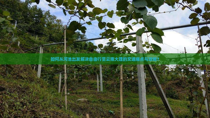 如何从河池出发解决自由行至云南大理的交通痛点与攻略？
