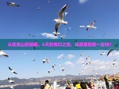 从武夷山到昆明，6天的奇幻之旅，你愿意和我一起吗？