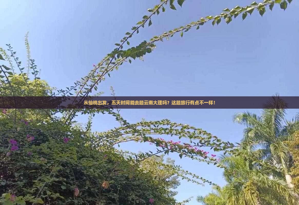 从仙桃出发，五天时间能去趟云南大理吗？这趟旅行有点不一样！