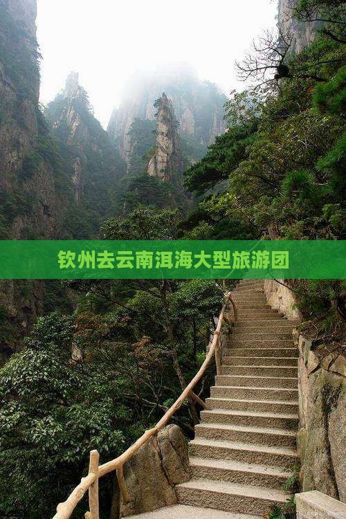 钦州去云南洱海大型旅游团