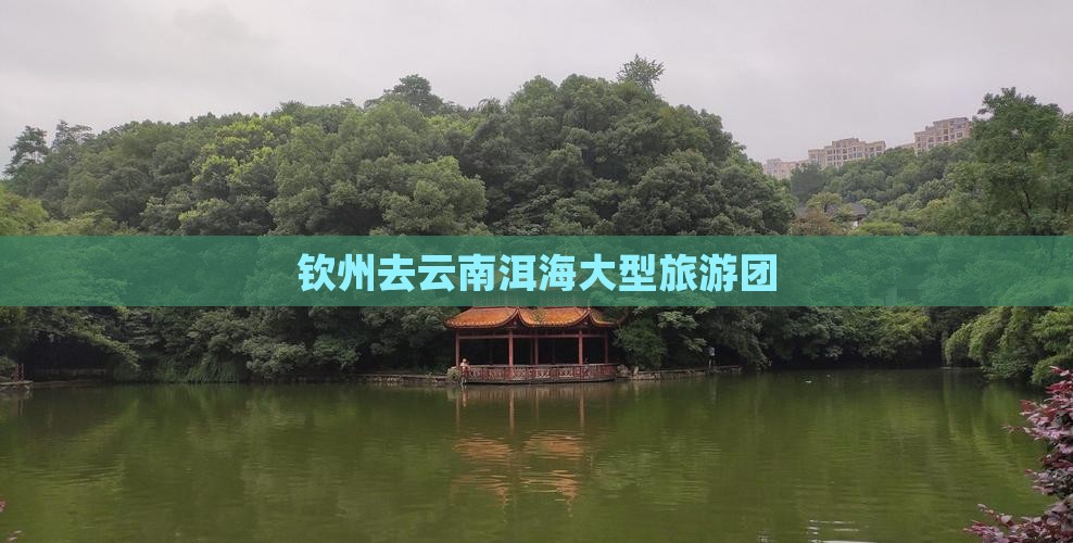 钦州去云南洱海大型旅游团