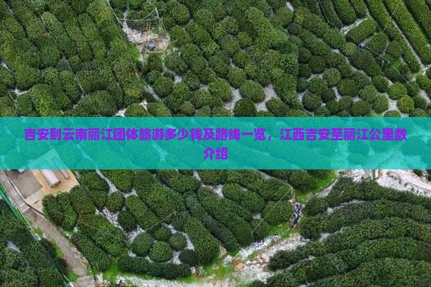 吉安到云南丽江团体旅游多少钱及路线一览，江西吉安至丽江公里数介绍