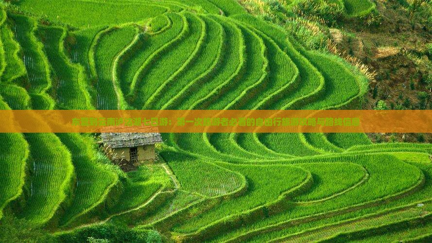 东营到云南泸沽湖七日游：第一次旅游者必看的自由行旅游攻略与路线信息