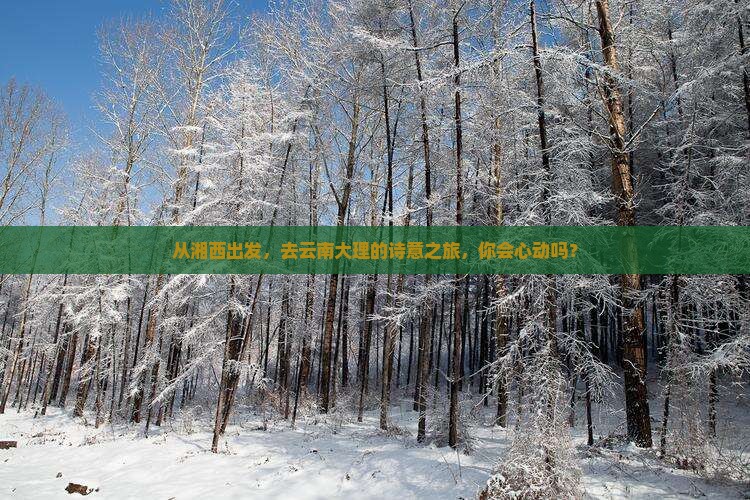 从湘西出发，去云南大理的诗意之旅，你会心动吗？