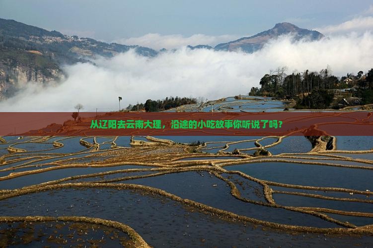 从辽阳去云南大理，沿途的小吃故事你听说了吗？