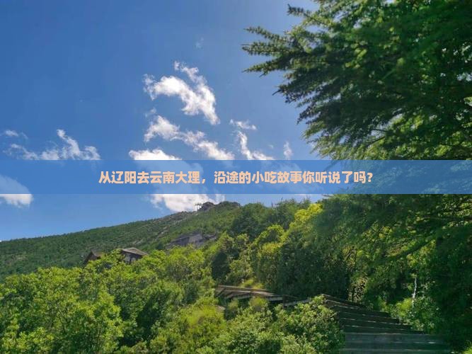 从辽阳去云南大理，沿途的小吃故事你听说了吗？