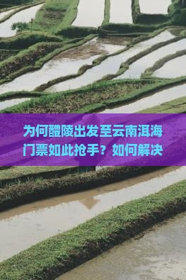为何醴陵出发至云南洱海门票如此抢手？如何解决一票难求的痛点？