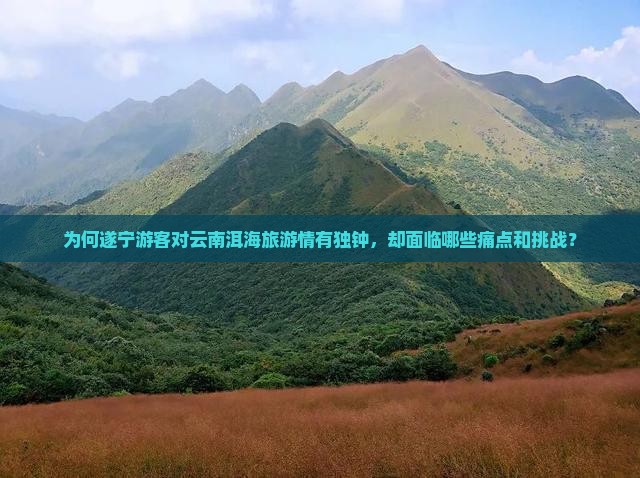 为何遂宁游客对云南洱海旅游情有独钟,却面临哪些痛点和挑战? 为何遂宁游客对云南洱海旅游情有独钟,却面临哪些痛点和挑战?