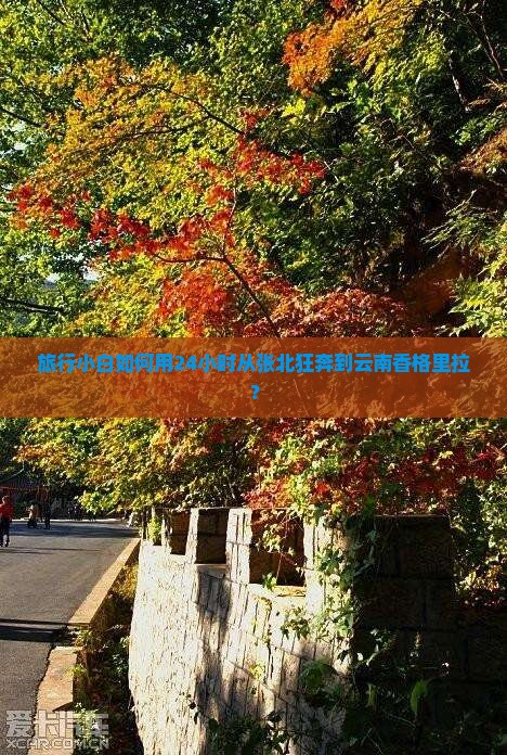 旅行小白如何用24小时从张北狂奔到云南香格里拉? 旅行小白如何用24小时从张北狂奔到云南香格里拉?