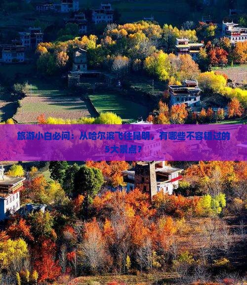 旅游小白必问：从哈尔滨飞往昆明，有哪些不容错过的5大景点？