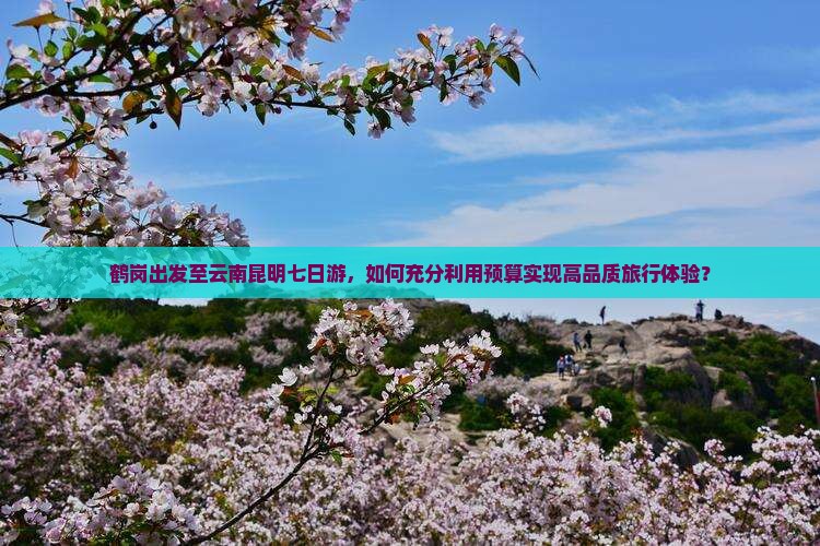 鹤岗出发至云南昆明七日游，如何充分利用预算实现高品质旅行体验？