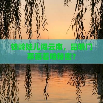 铁岭娃儿闯云南，昆明门票藏着啥秘密？