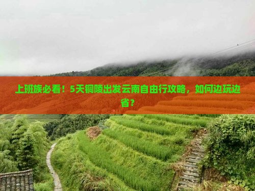 上班族必看！5天铜陵出发云南自由行攻略，如何边玩边省？