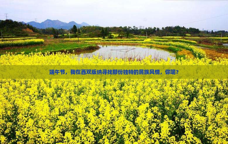 端午节，我在西双版纳寻找那份独特的民族风情，你呢？