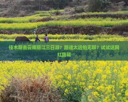 佳木斯去云南丽江三日游？路途太远怕无聊？试试这网红路稀