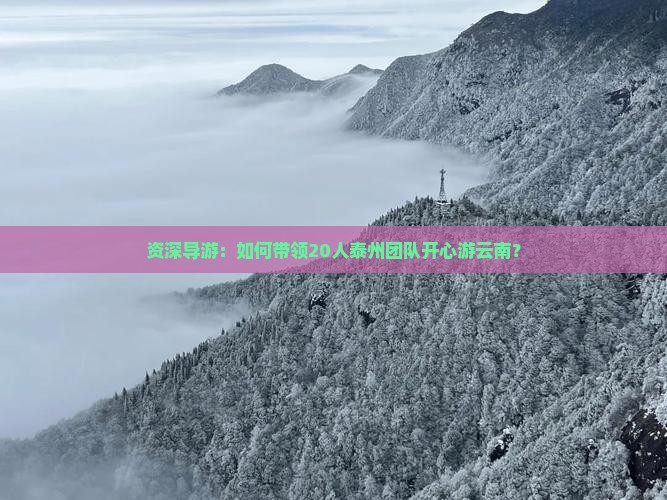 资深导游：如何带领20人泰州团队开心游云南？