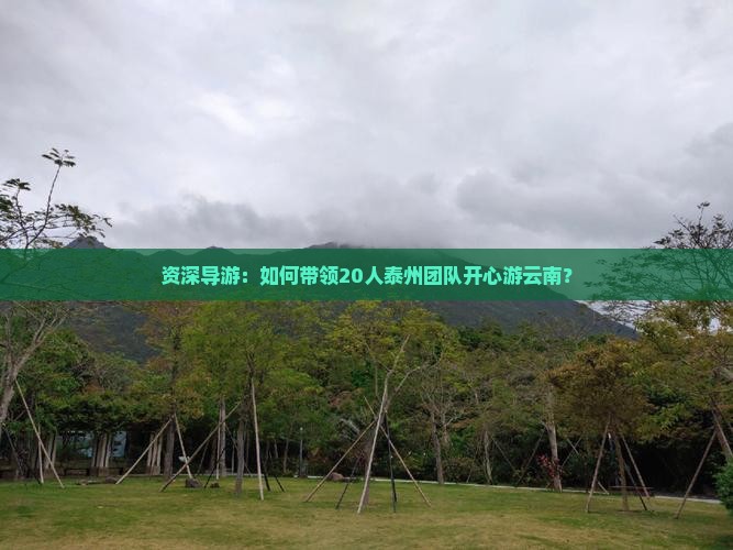 资深导游：如何带领20人泰州团队开心游云南？