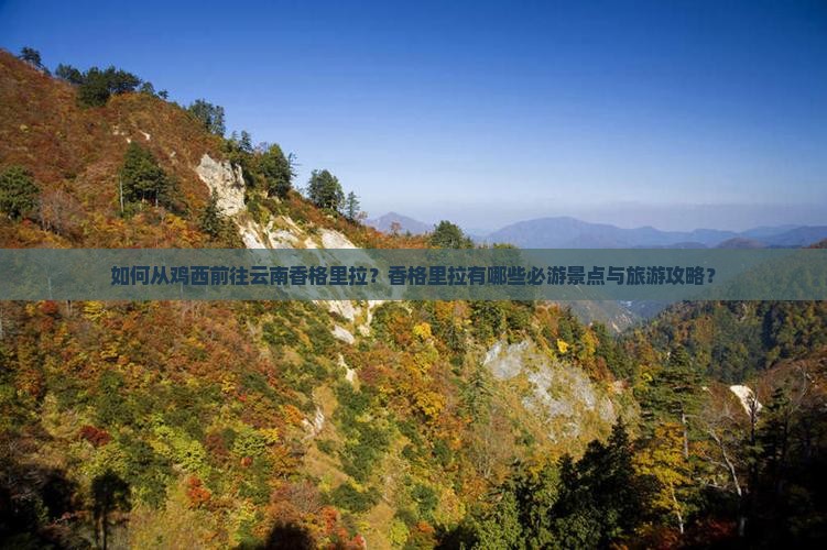 如何从鸡西前往云南香格里拉？香格里拉有哪些必游景点与旅游攻略？