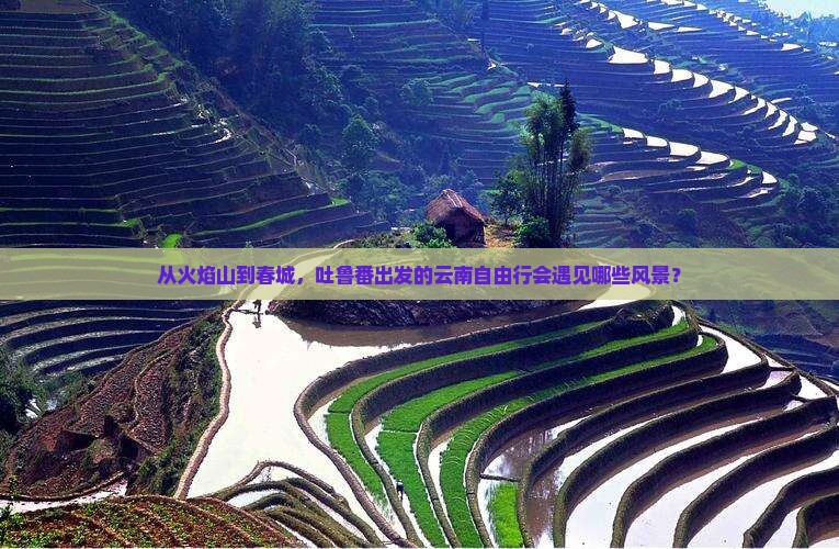 从火焰山到春城，吐鲁番出发的云南自由行会遇见哪些风景？