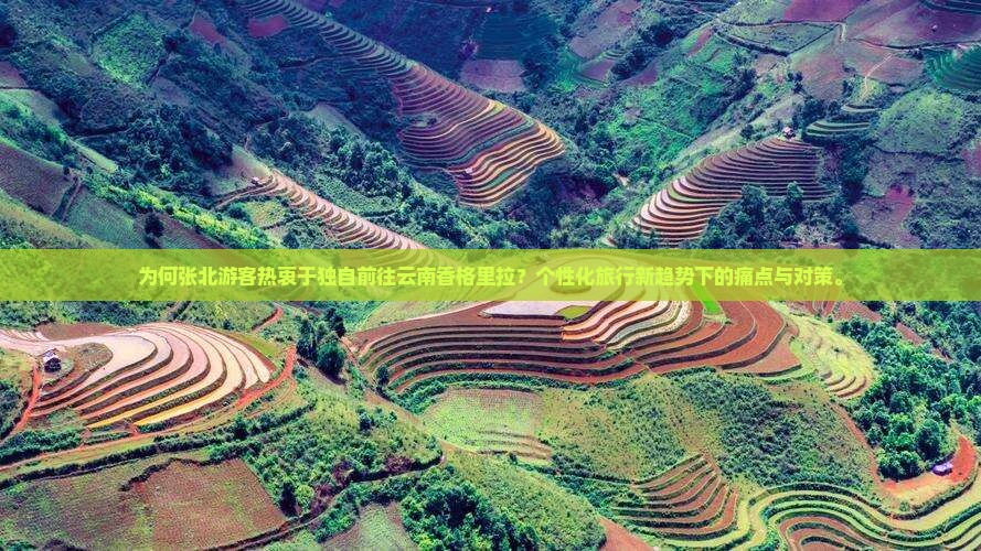 为何张北游客热衷于独自前往云南香格里拉？个性化旅行新趋势下的痛点与对策。