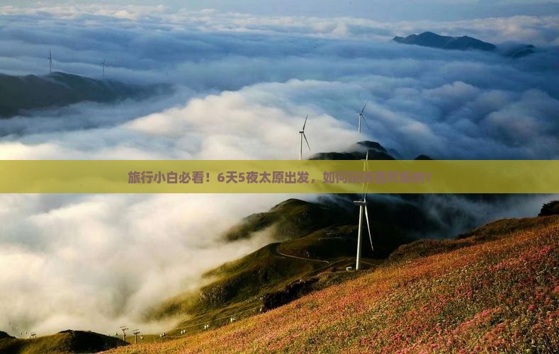 旅行小白必看！6天5夜太原出发，如何玩转西双版纳？