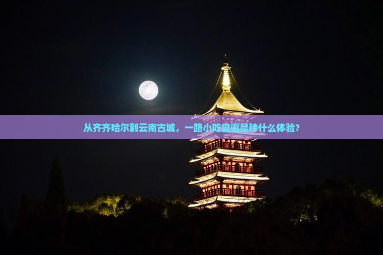 从齐齐哈尔到云南古城，一路小吃尝遍是种什么体验？