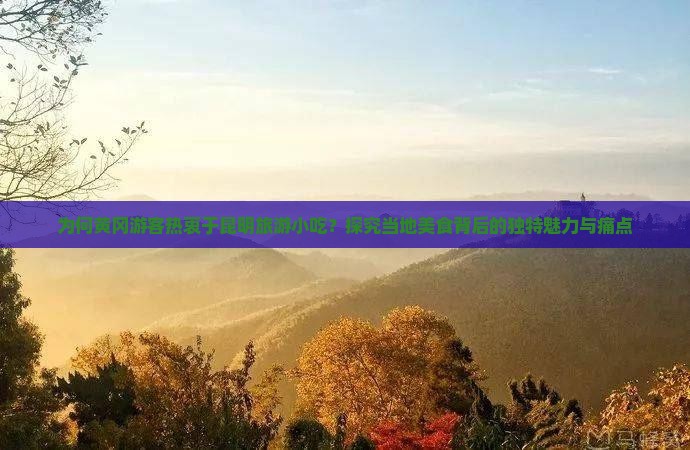为何黄冈游客热衷于昆明旅游小吃？探究当地美食背后的独特魅力与痛点