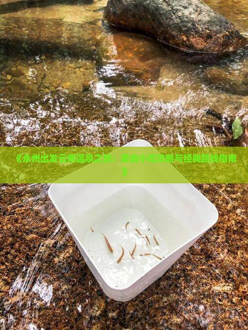 《永州出发云南温泉之旅：美食小吃攻略与经典路线指南》