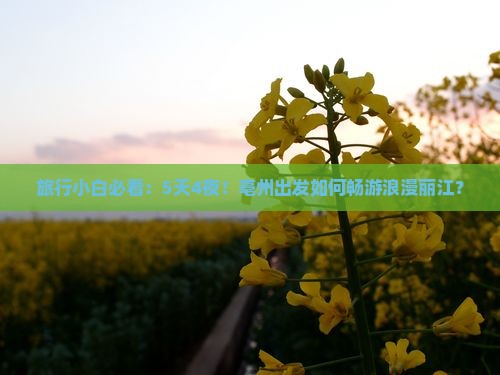 旅行小白必看：5天4夜！亳州出发如何畅游浪漫丽江？