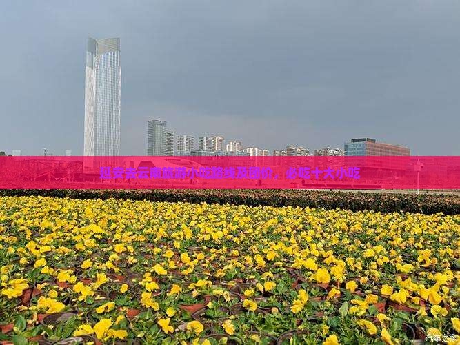 延安去云南旅游小吃路线及团价，必吃十大小吃