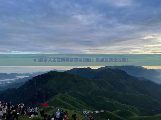 #1新乡人去云南香格里拉旅游？景点攻略快收藏！