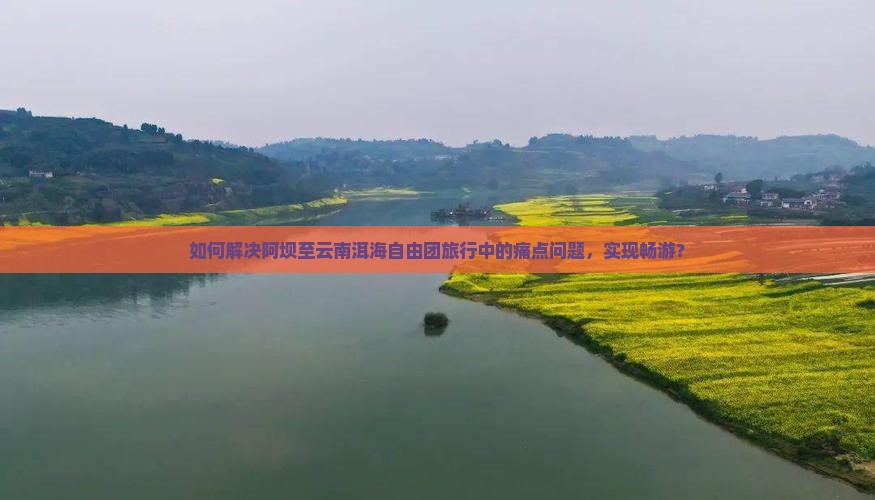 如何解决阿坝至云南洱海自由团旅行中的痛点问题，实现畅游？