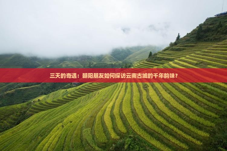 三天的奇遇：朝阳朋友如何探访云南古城的千年韵味？