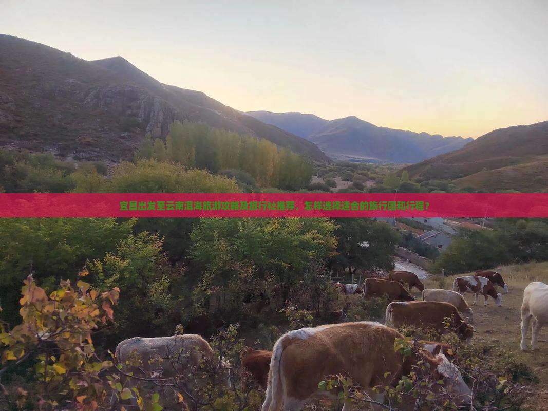 宜昌出发至云南洱海旅游攻略及旅行社推荐，怎样选择适合的旅行团和行程？