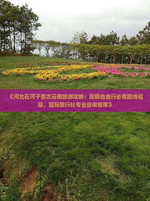 《河北石河子首次云南旅游攻略：昆明自由行必看路线信息，国际旅行社专业咨询推荐》
