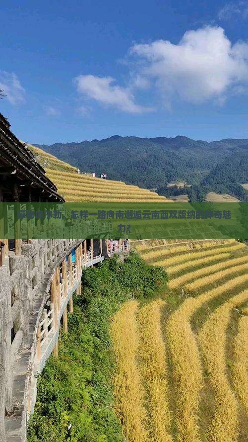 探秘库尔勒，怎样一路向南邂逅云南西双版纳的神奇魅力？