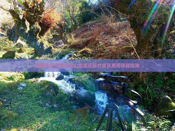 南通去云南玉龙雪山哪里玩最方便及费用预算指南