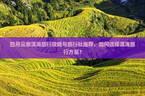 四月云南洱海旅行攻略与旅行社推荐，如何选择洱海旅行方案？
